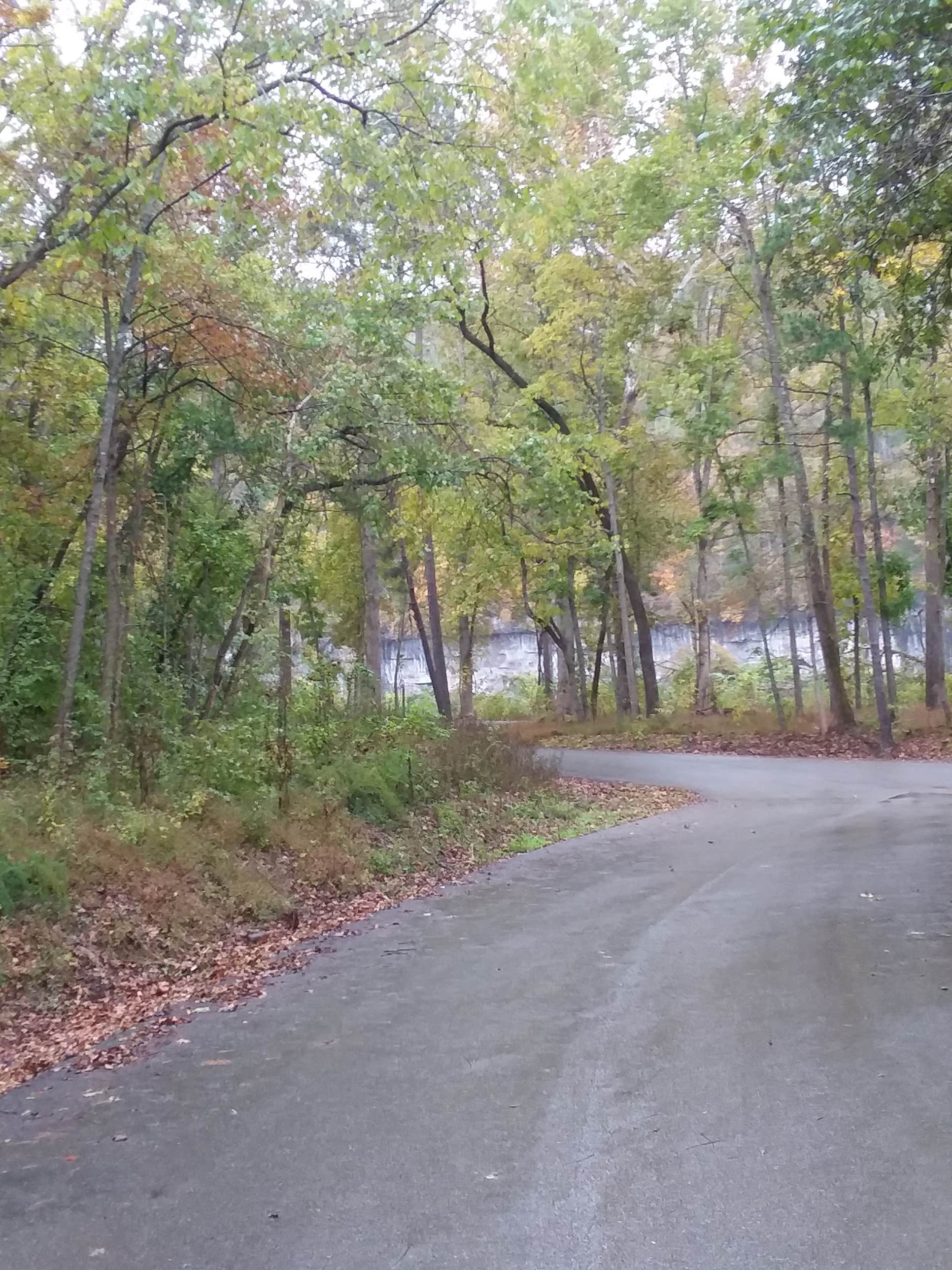 Camper-submitted photo at North Fork near West Plains, MO