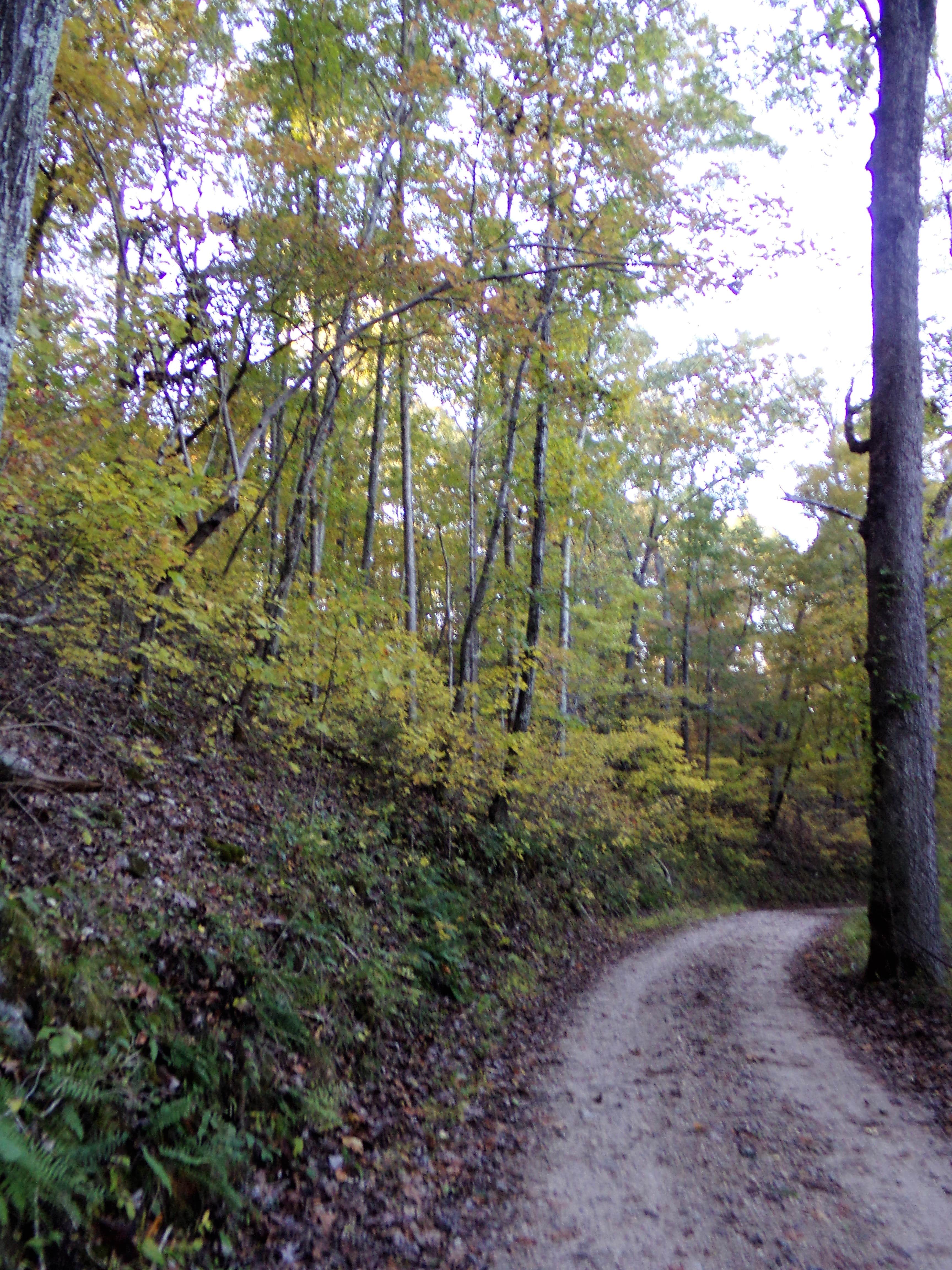 Camper submitted image from Rymers Backcountry Camping — Ozark National Scenic Riverway - 3