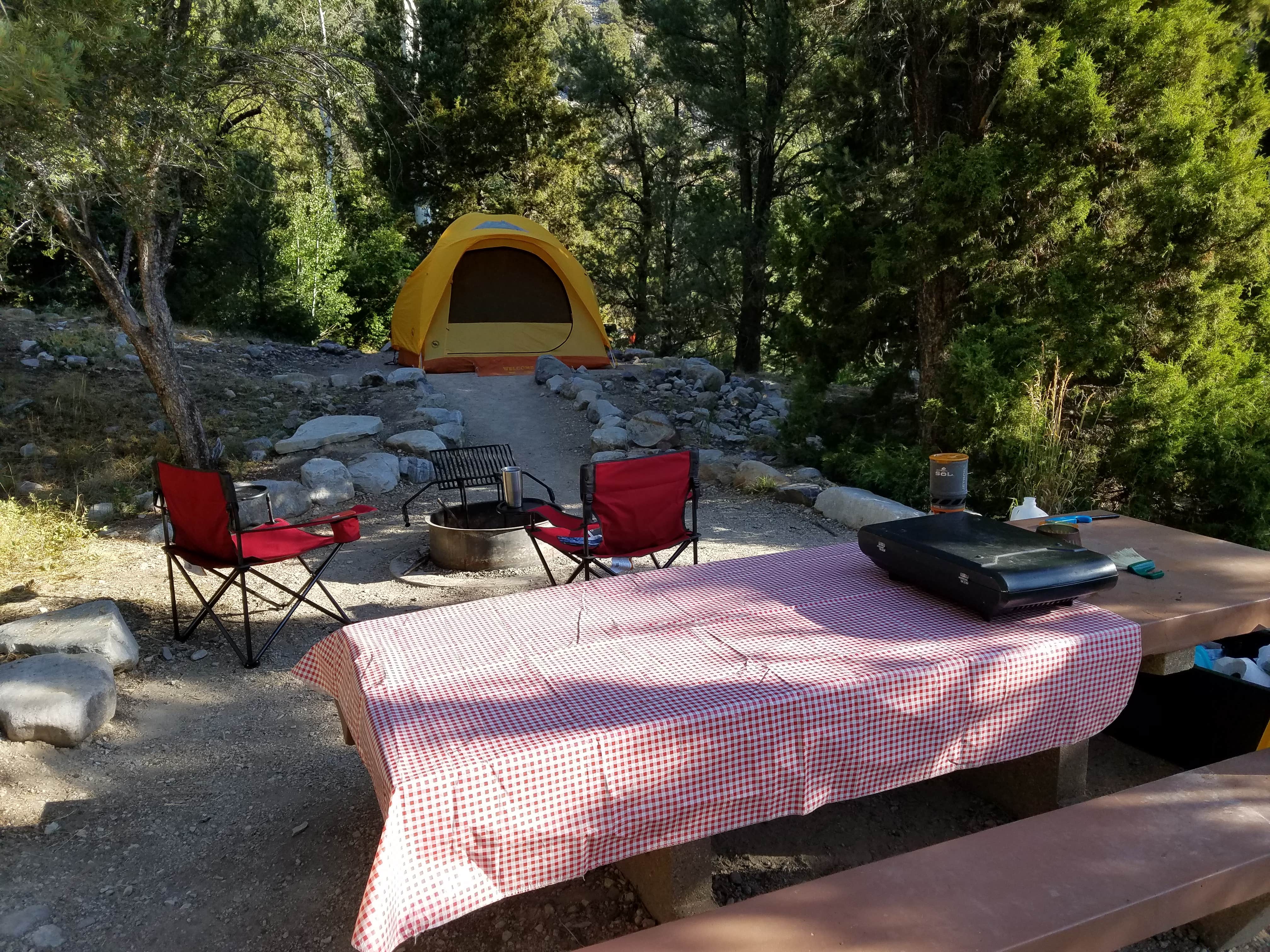 Stephen E.'s photo at Upper Lehman Creek Campground — Great Basin National Park near Garrison, UT