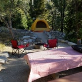 Review photo of Upper Lehman Creek Campground — Great Basin National Park by Stephen E., August 31, 2019