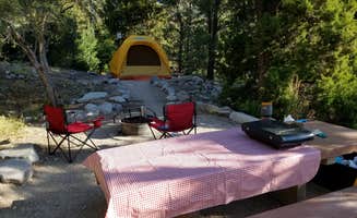 Stephen E.'s photo at Upper Lehman Creek Campground — Great Basin National Park near Garrison, UT