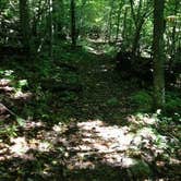 Review photo of Lewis Mountain Campground — Shenandoah National Park by Sam M., September 1, 2019