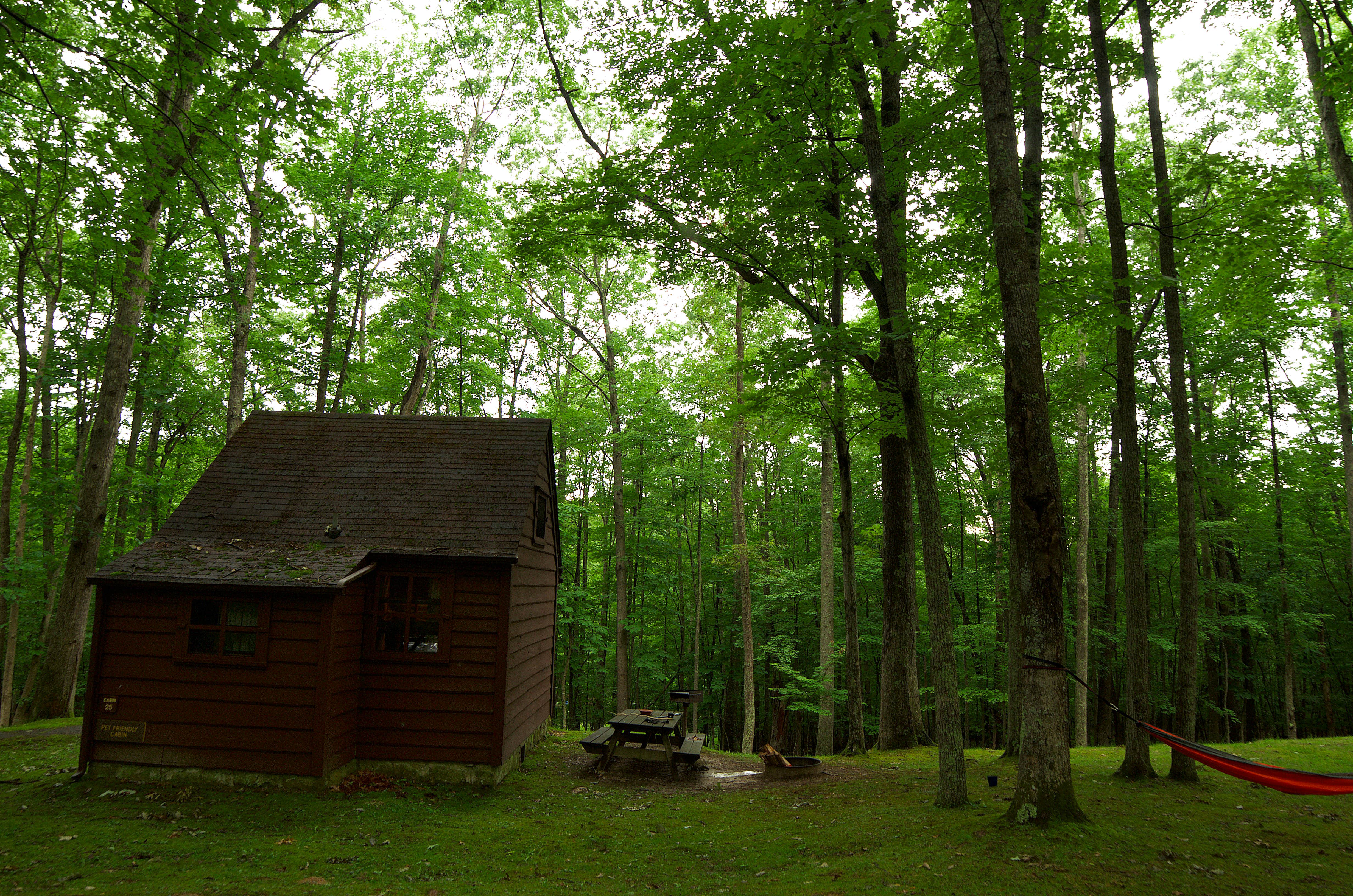 Jon C.'s photo of glamping accommodations at Babcock State Park Campground near Beckley, WV