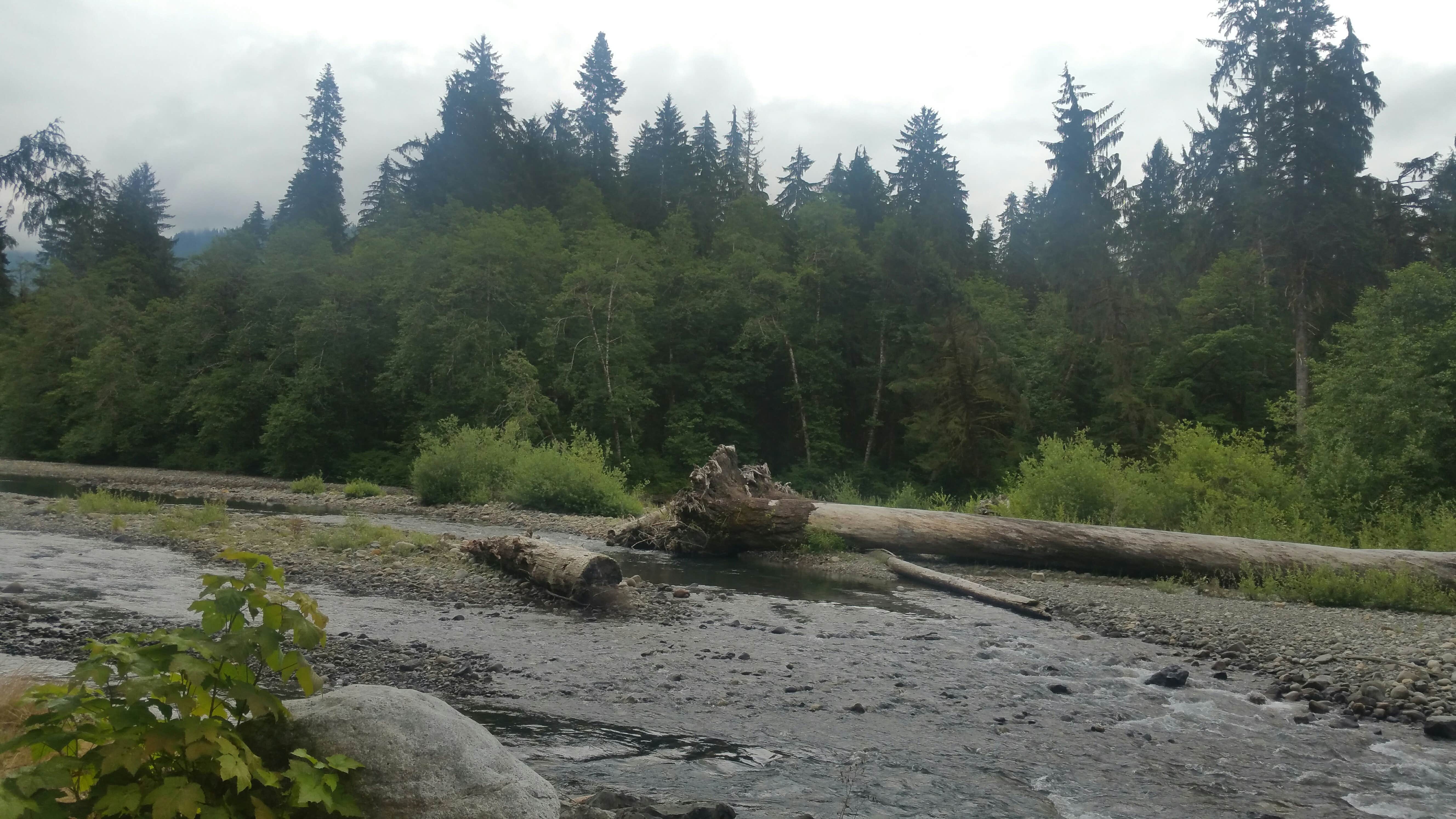 Camper-submitted photo at Red Bridge Campground near Mt. Baker-Snoqualmie National Forest
