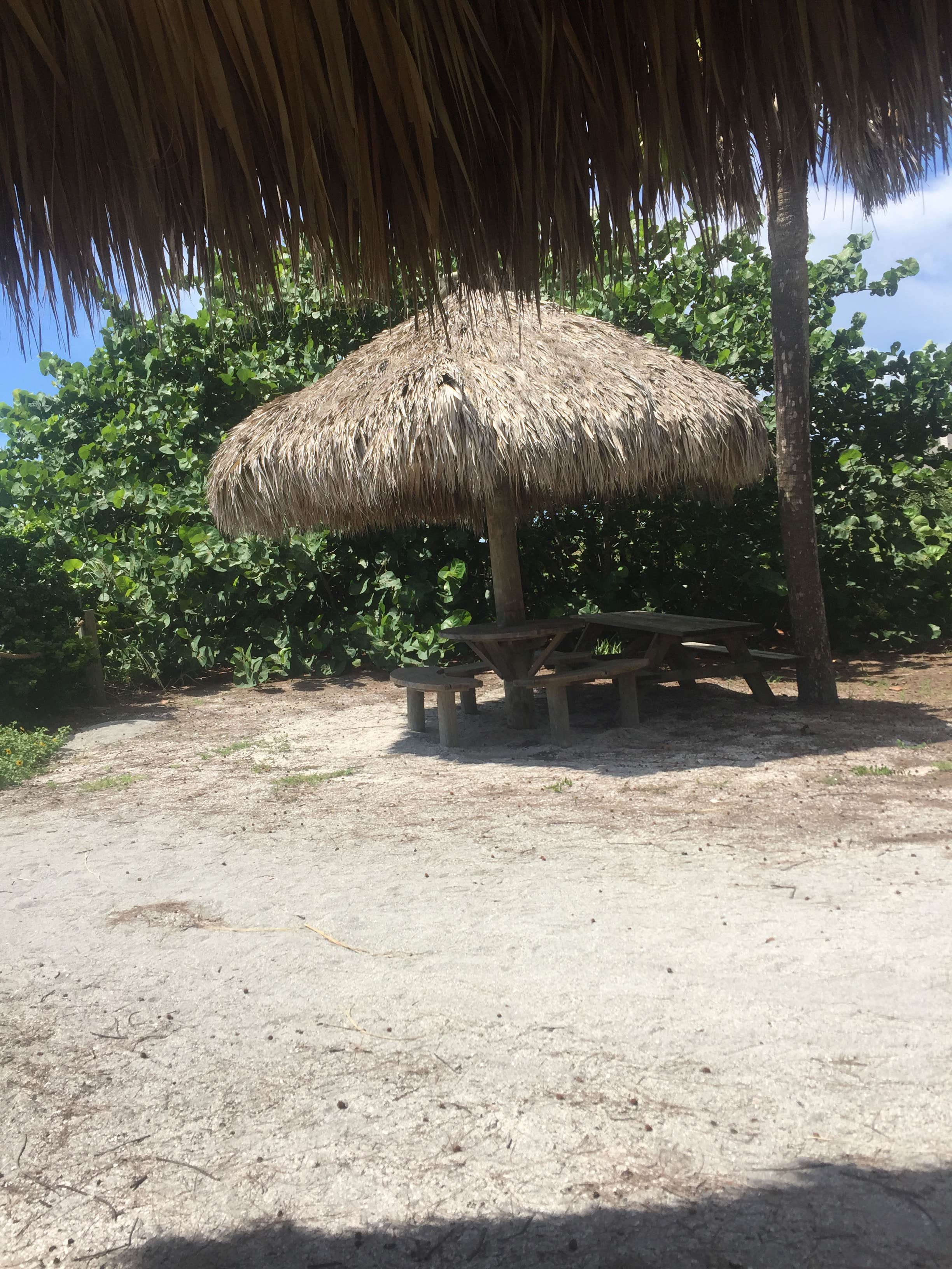 Camper submitted image from Turtle Beach Campground - 3