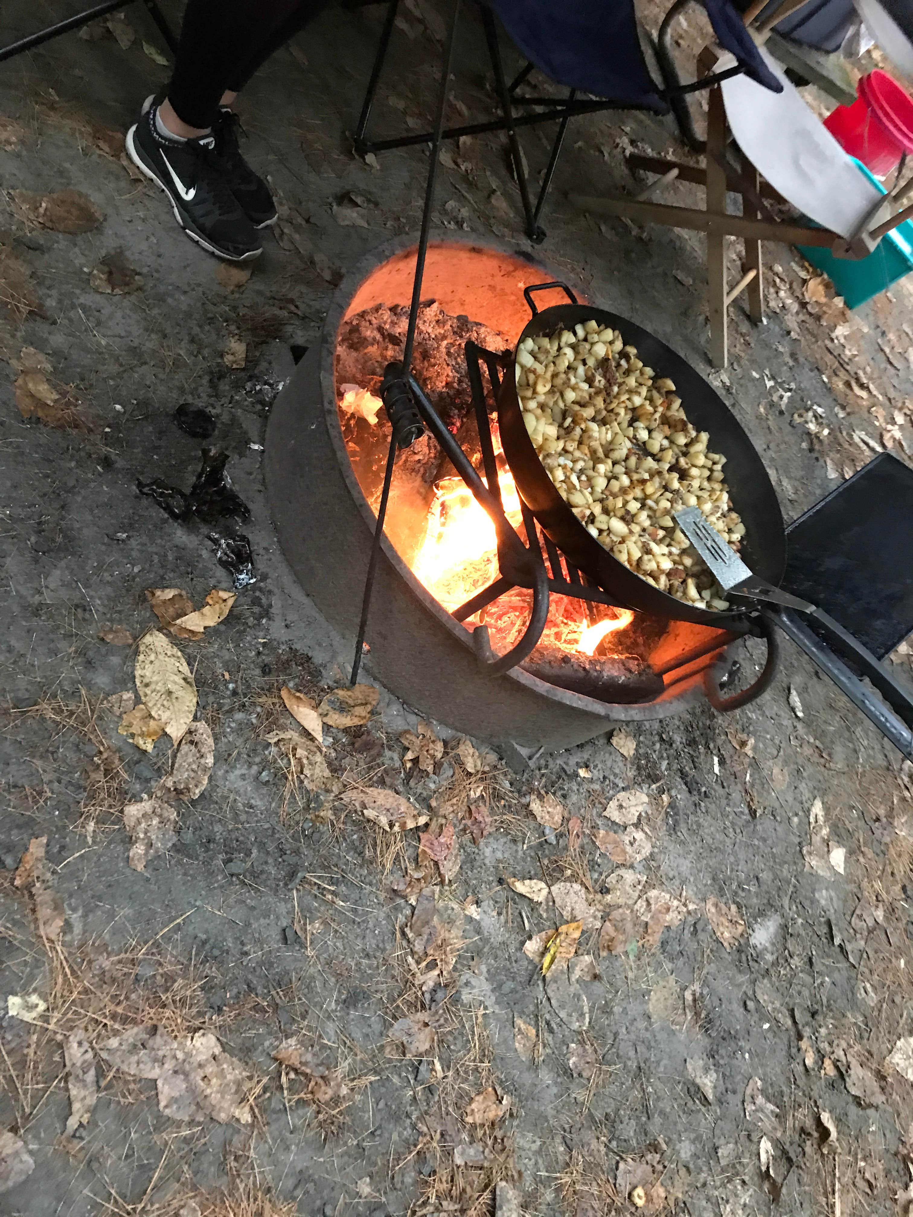 Camper submitted image from Jamaica State Park Campground - 5