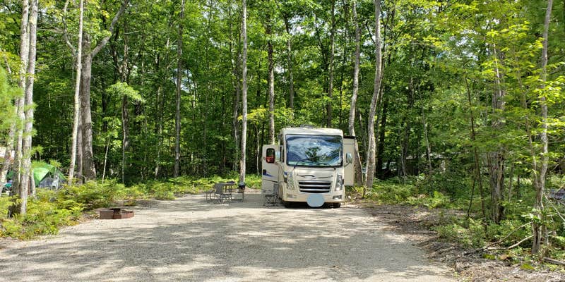 Camper submitted image from Westward Shores Camping Area and Marina