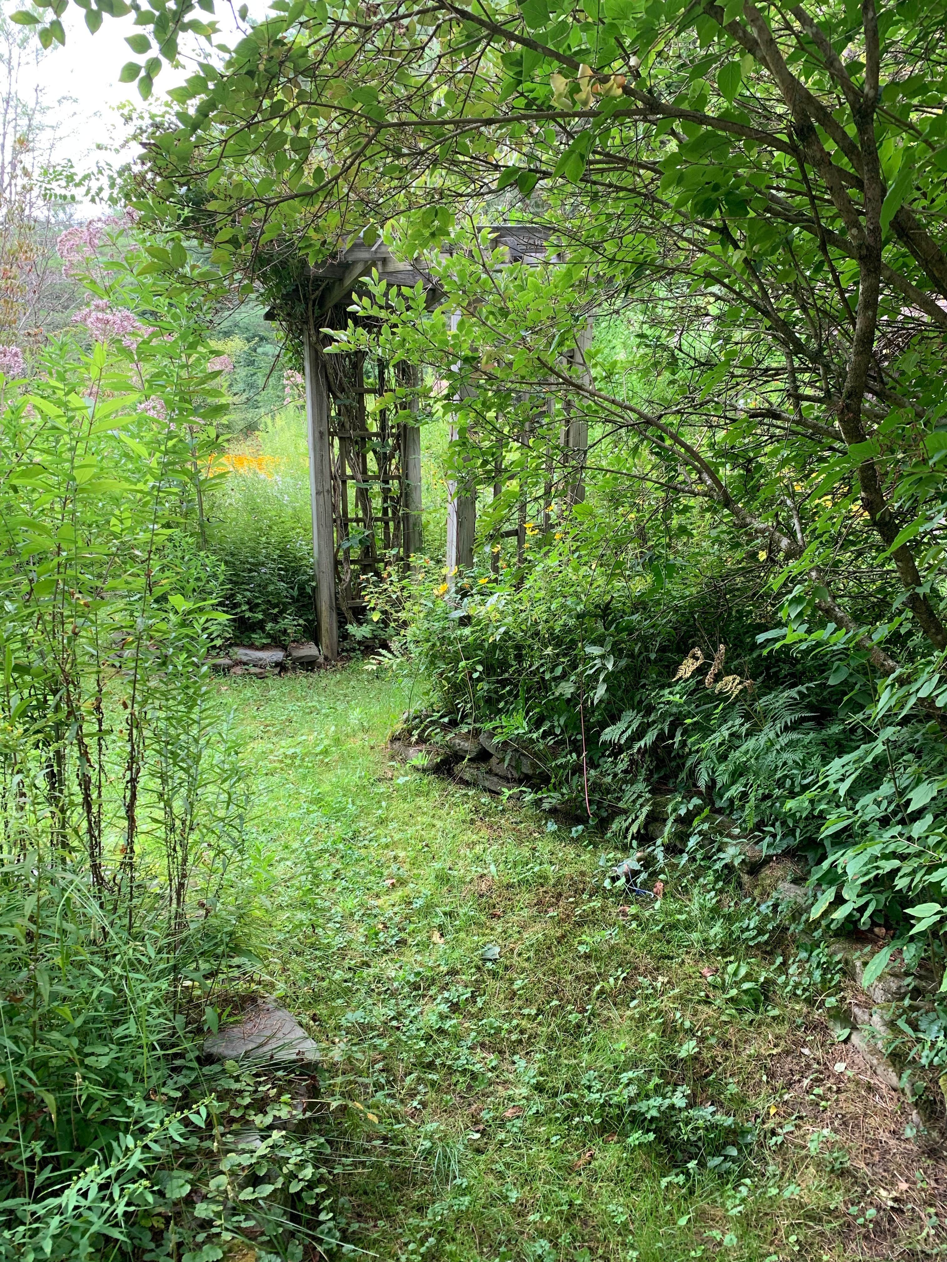 Camper submitted image from Sizerville State Park Campground - 2