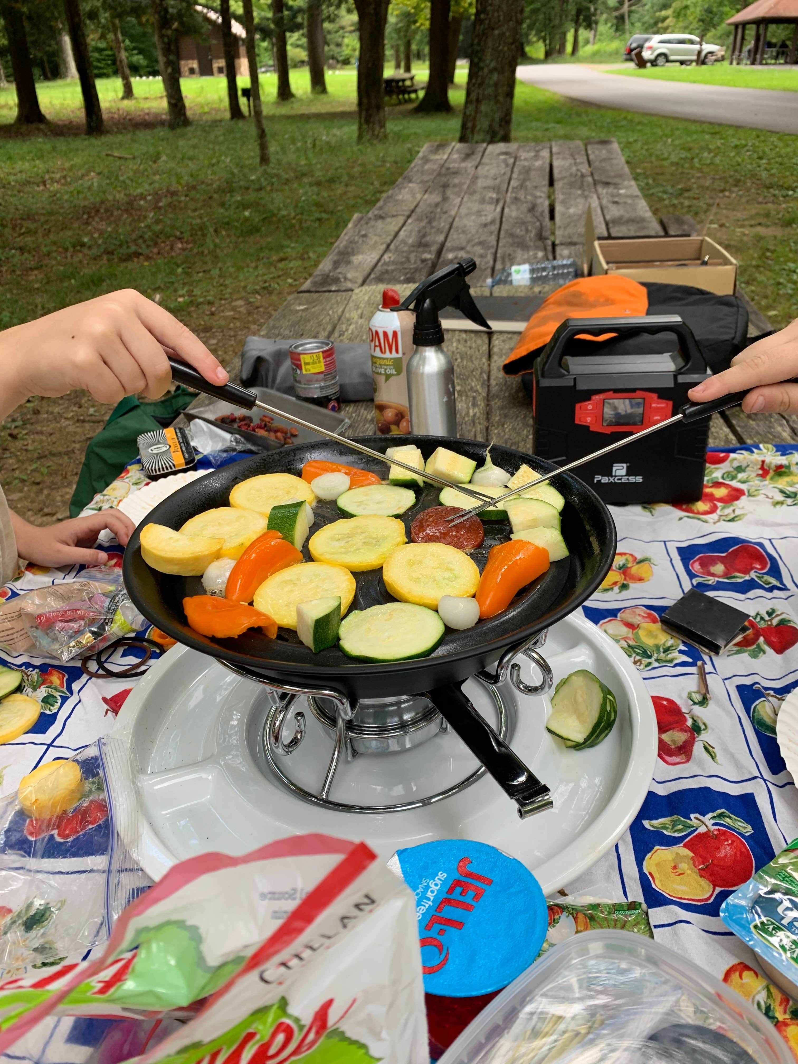 Camper submitted image from Sizerville State Park Campground - 5