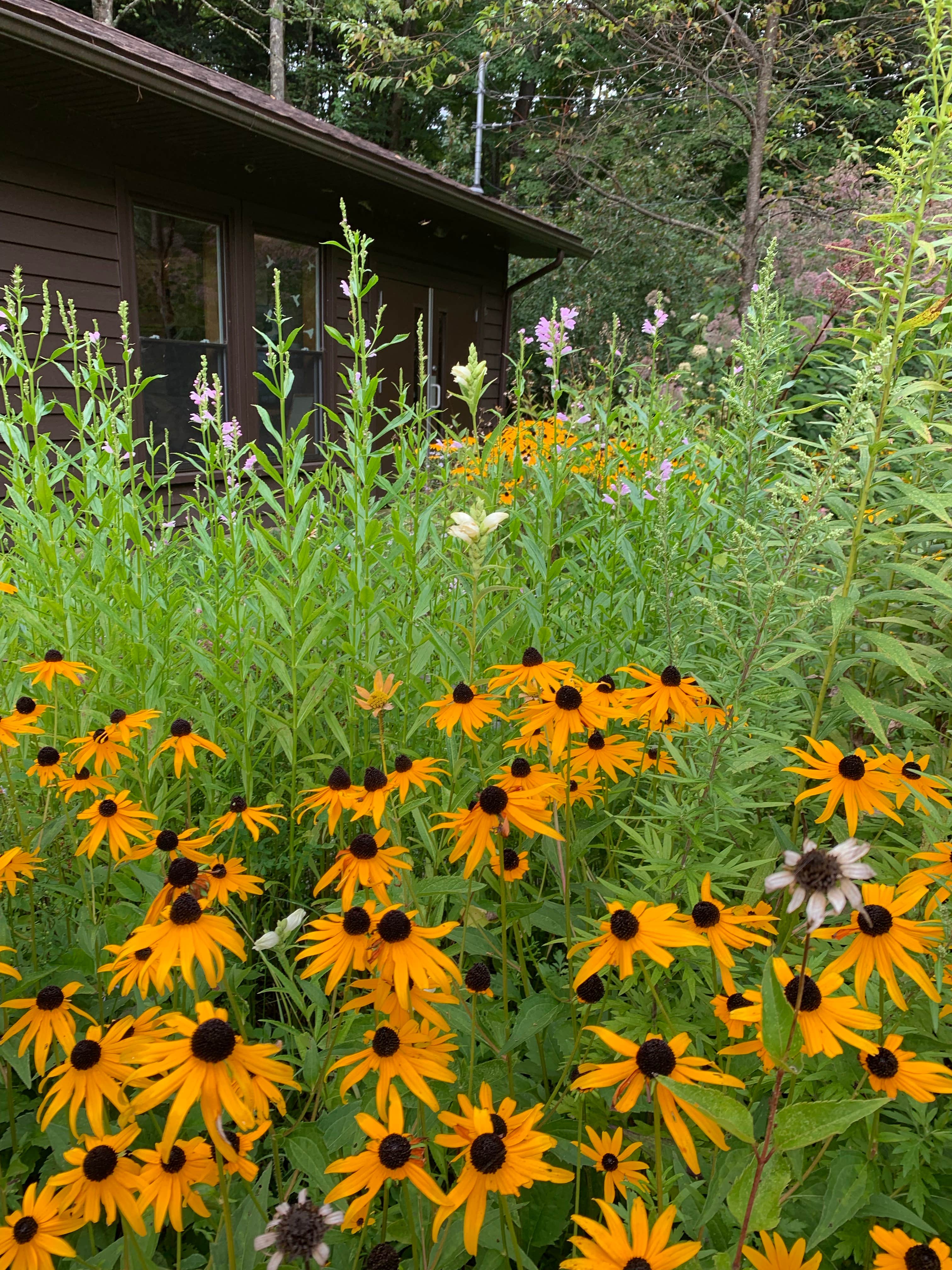 Camper-submitted photo at Sizerville State Park Campground near Emporium, PA