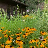 Review photo of Sizerville State Park Campground by Paula L., September 1, 2019