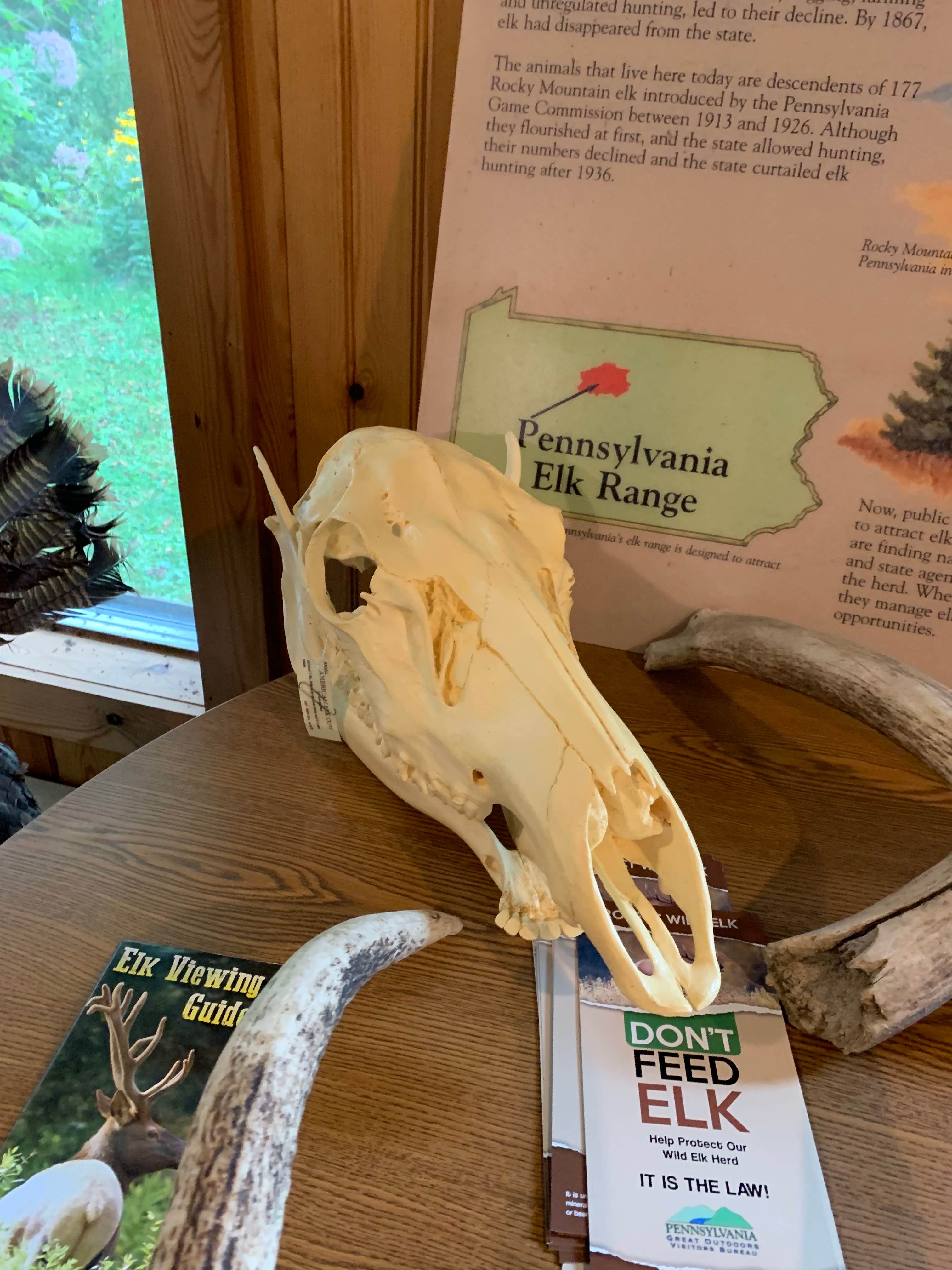 Camper-submitted photo at Sizerville State Park Campground near Emporium, PA