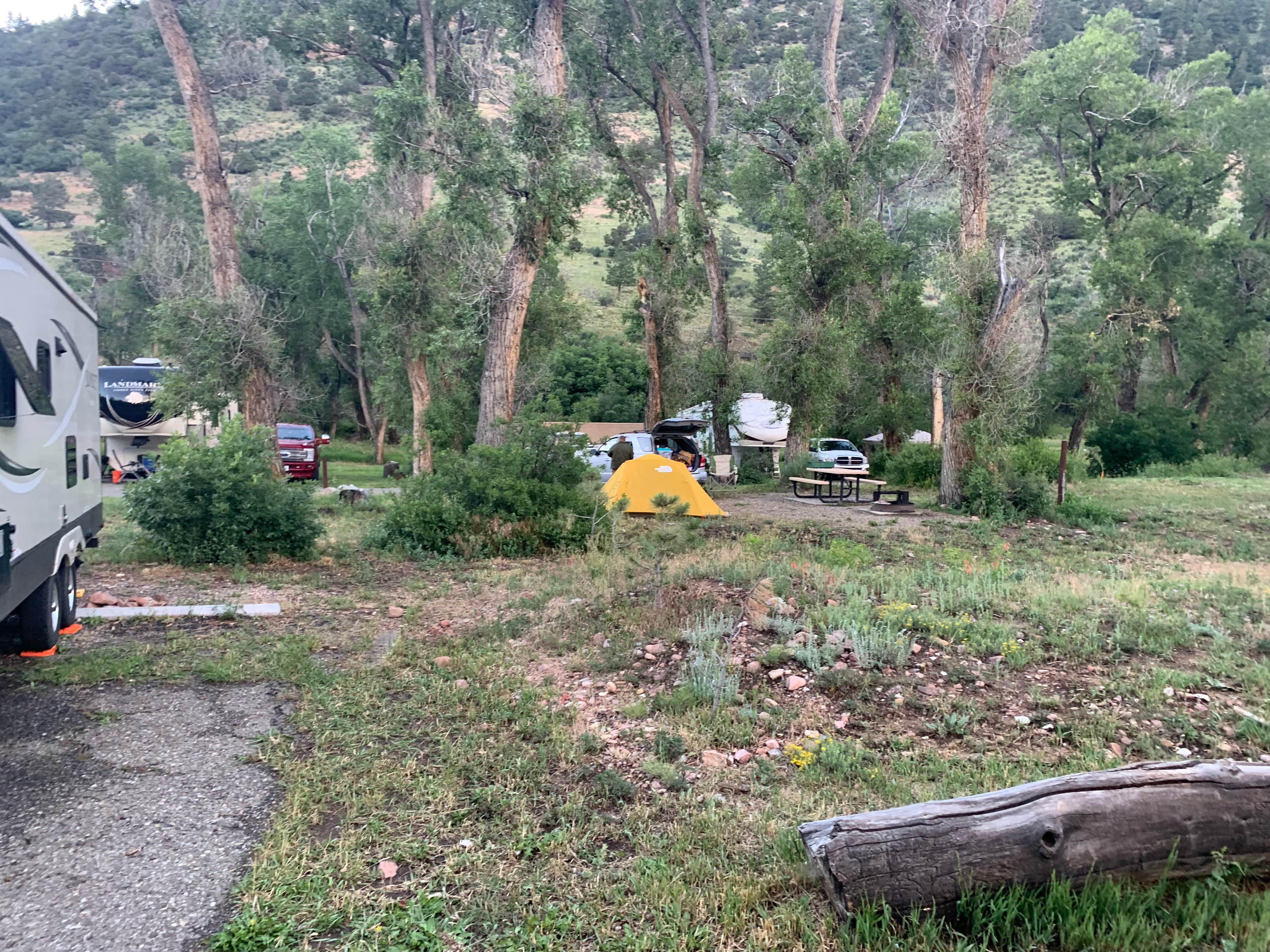 Camper-submitted photo at Maverick Campground — Cimarron Canyon State Park near Cimarron, NM