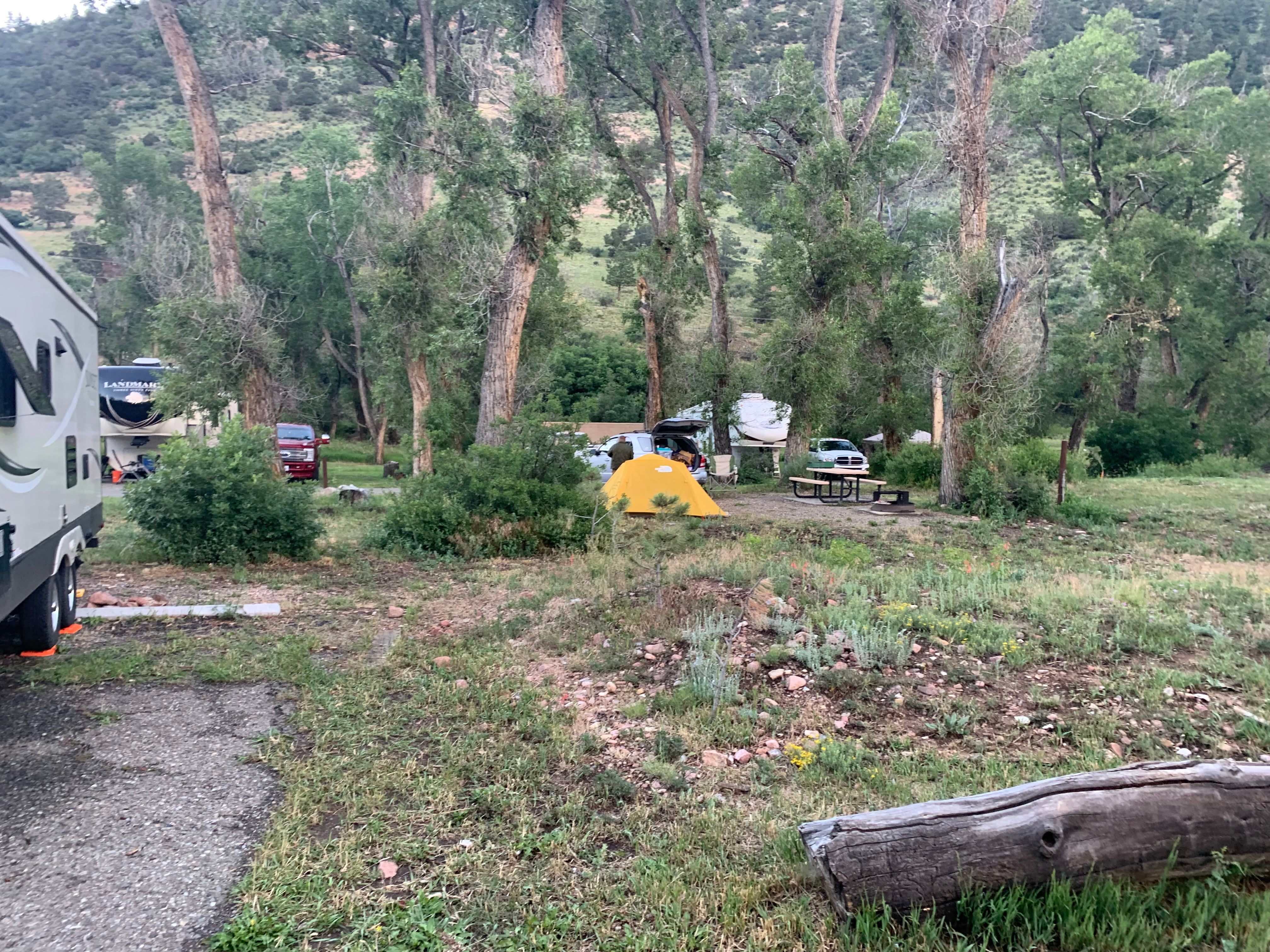 Camper submitted image from Maverick Campground — Cimarron Canyon State Park - 5