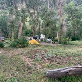 Review photo of Maverick Campground — Cimarron Canyon State Park by Steve & Ashley  G., September 1, 2019