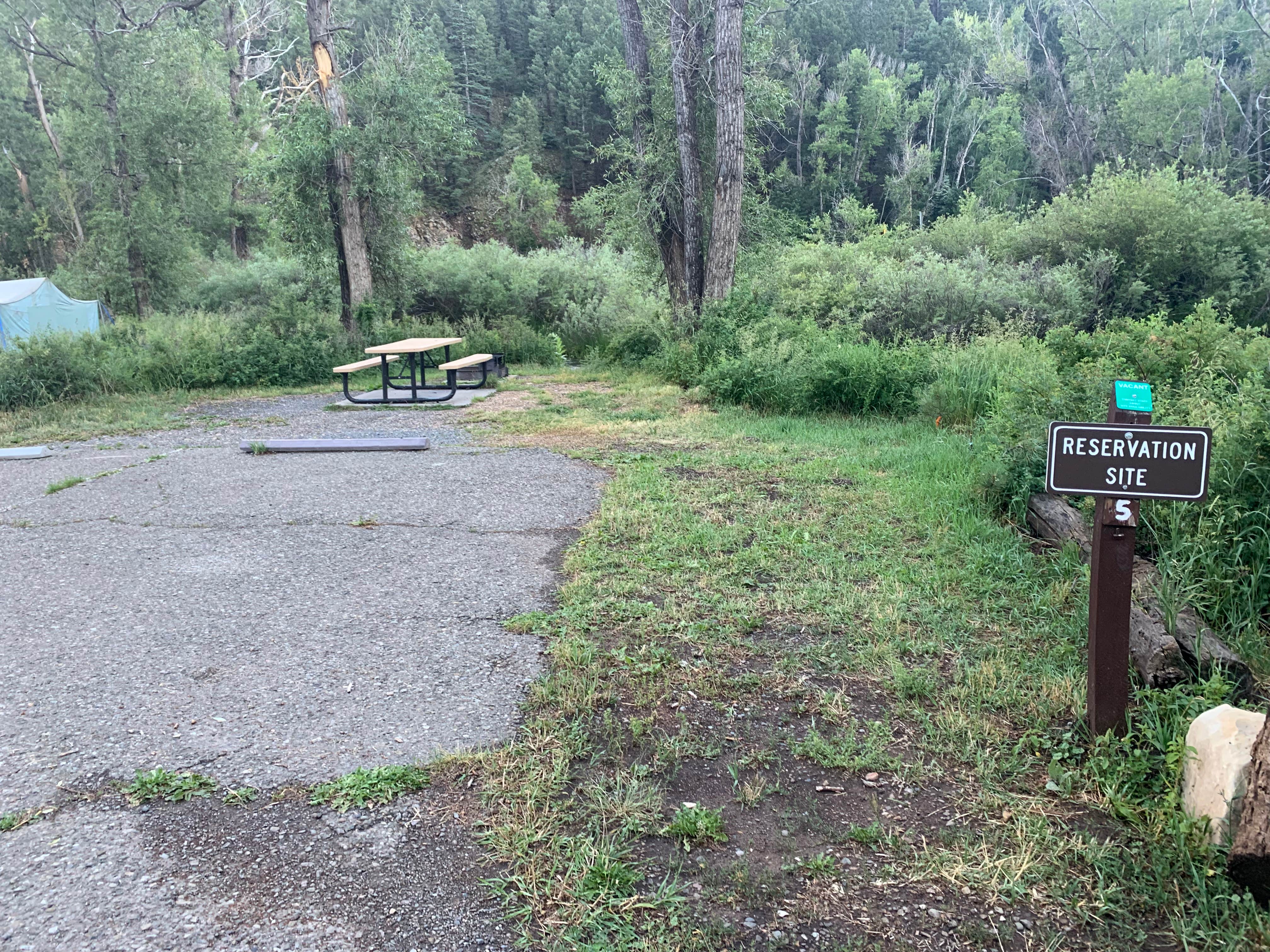 Camper submitted image from Maverick Campground — Cimarron Canyon State Park - 3