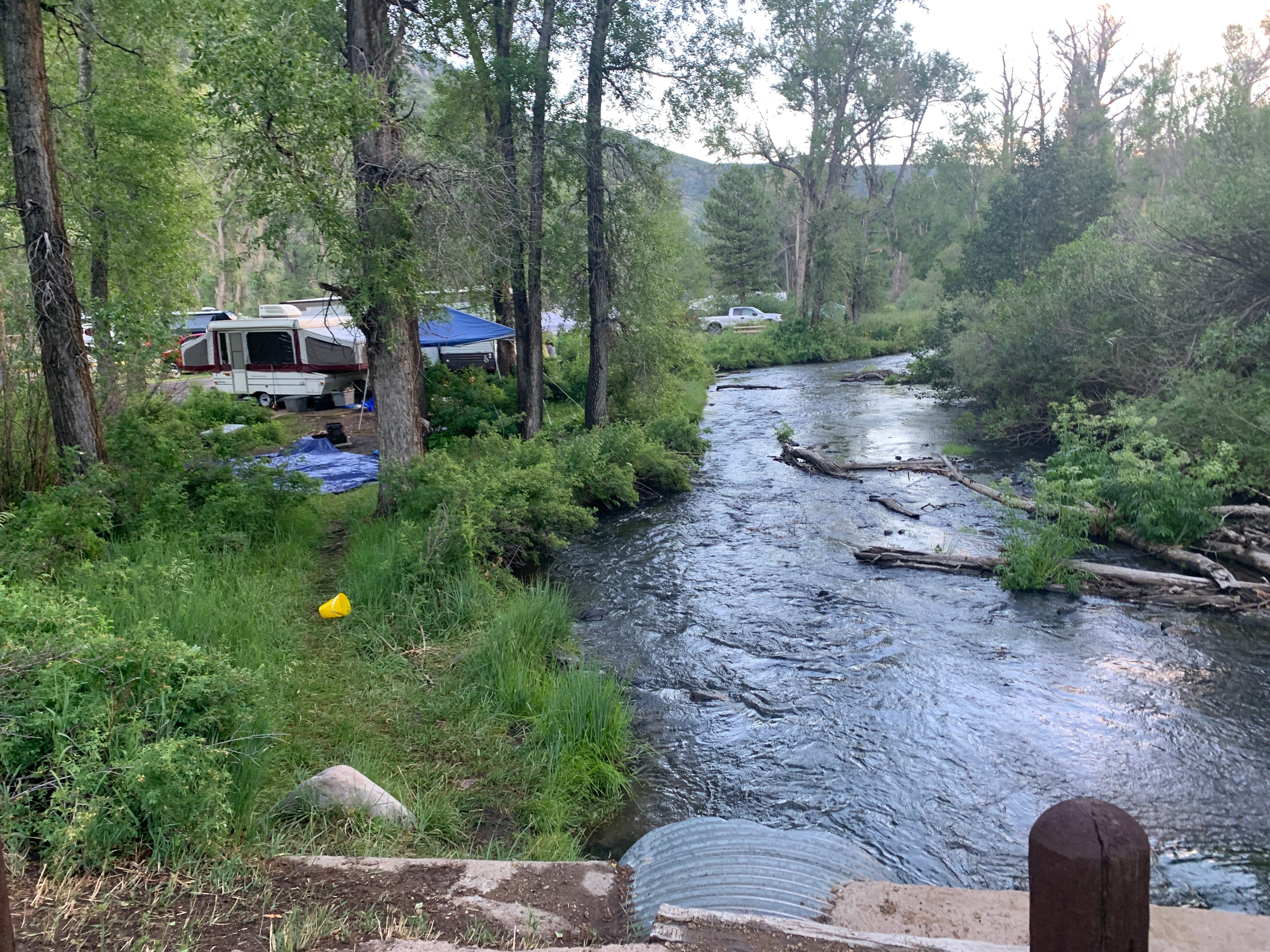 Camper submitted image from Maverick Campground — Cimarron Canyon State Park - 4