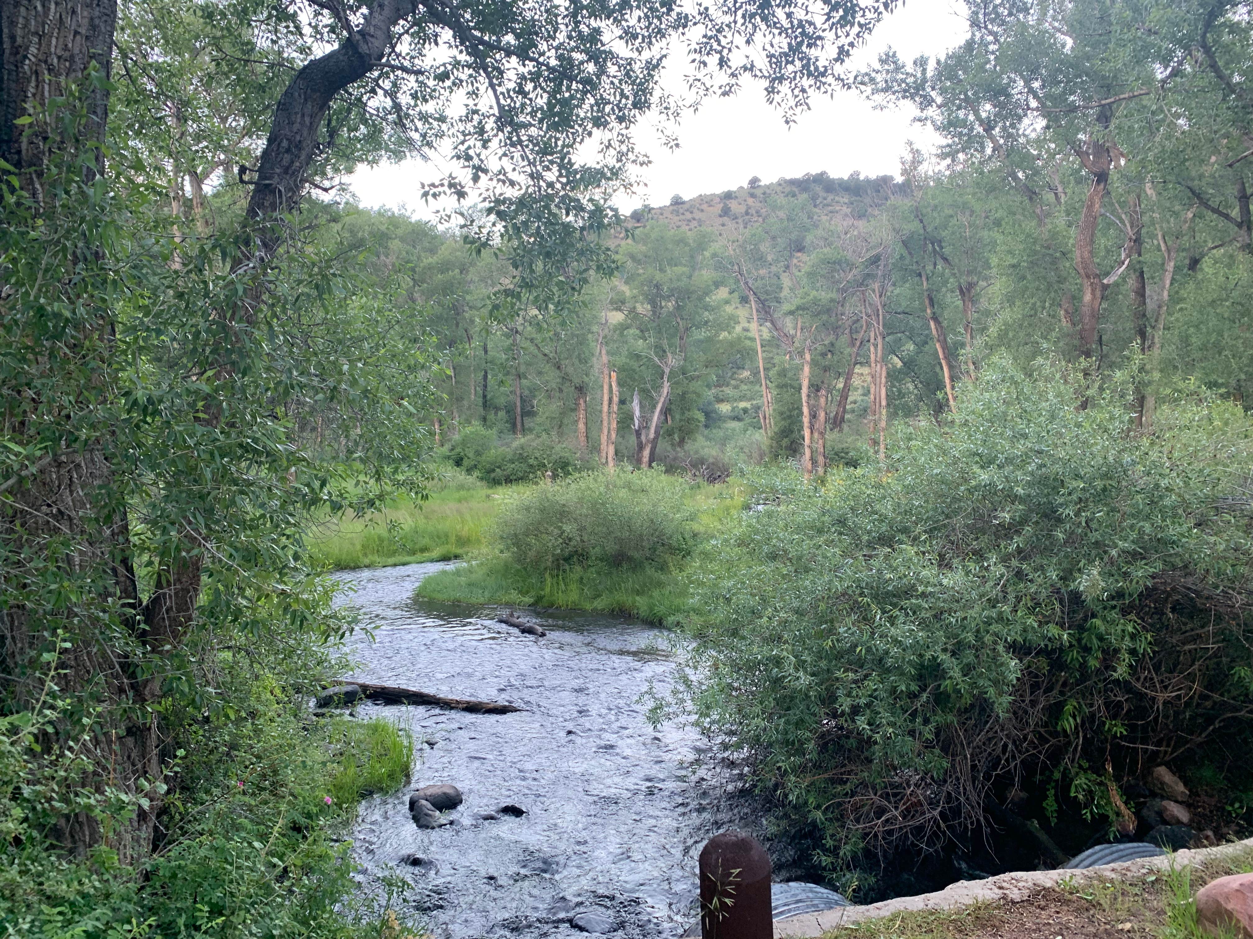 Camper submitted image from Maverick Campground — Cimarron Canyon State Park - 2