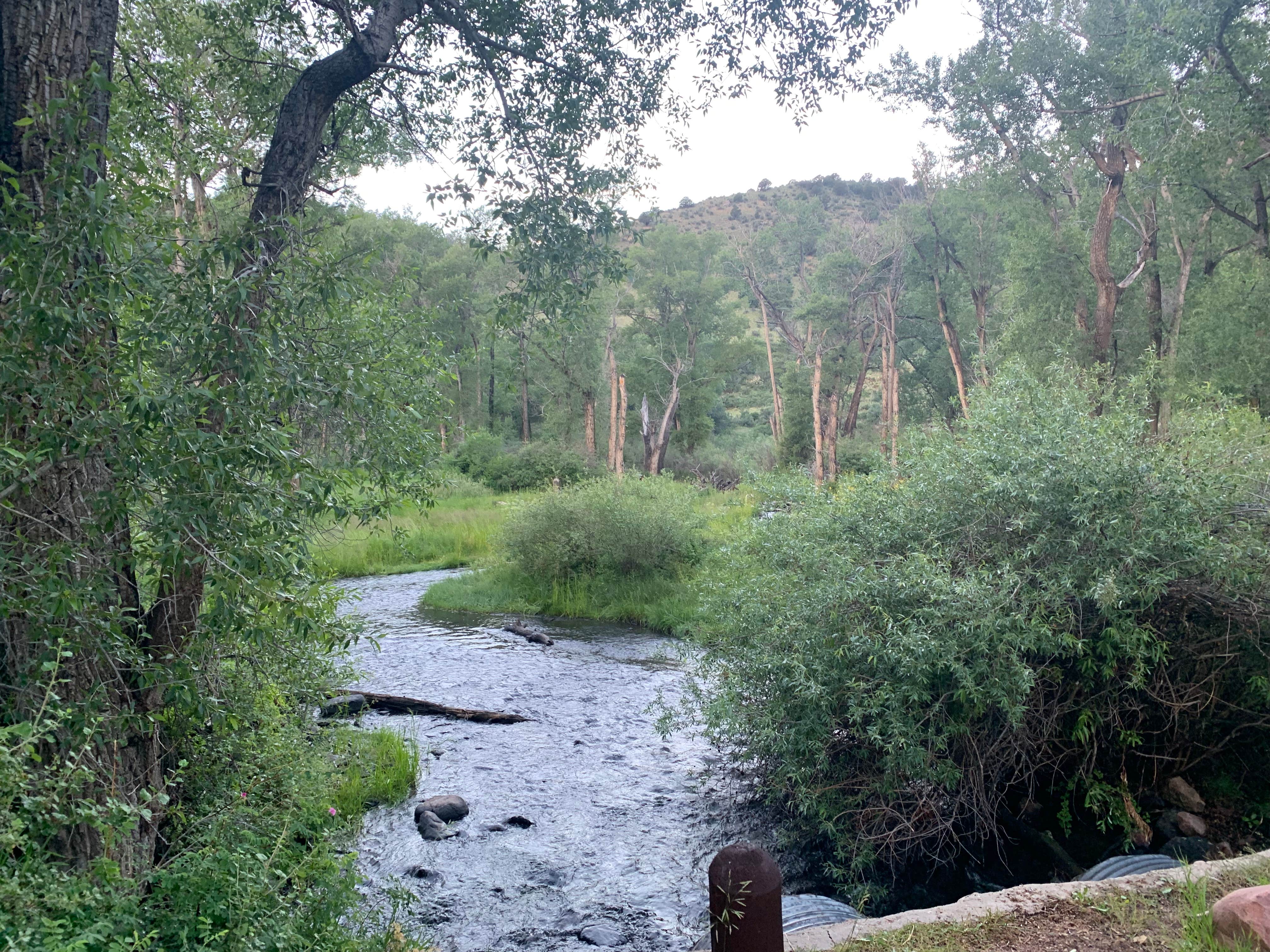 Nature