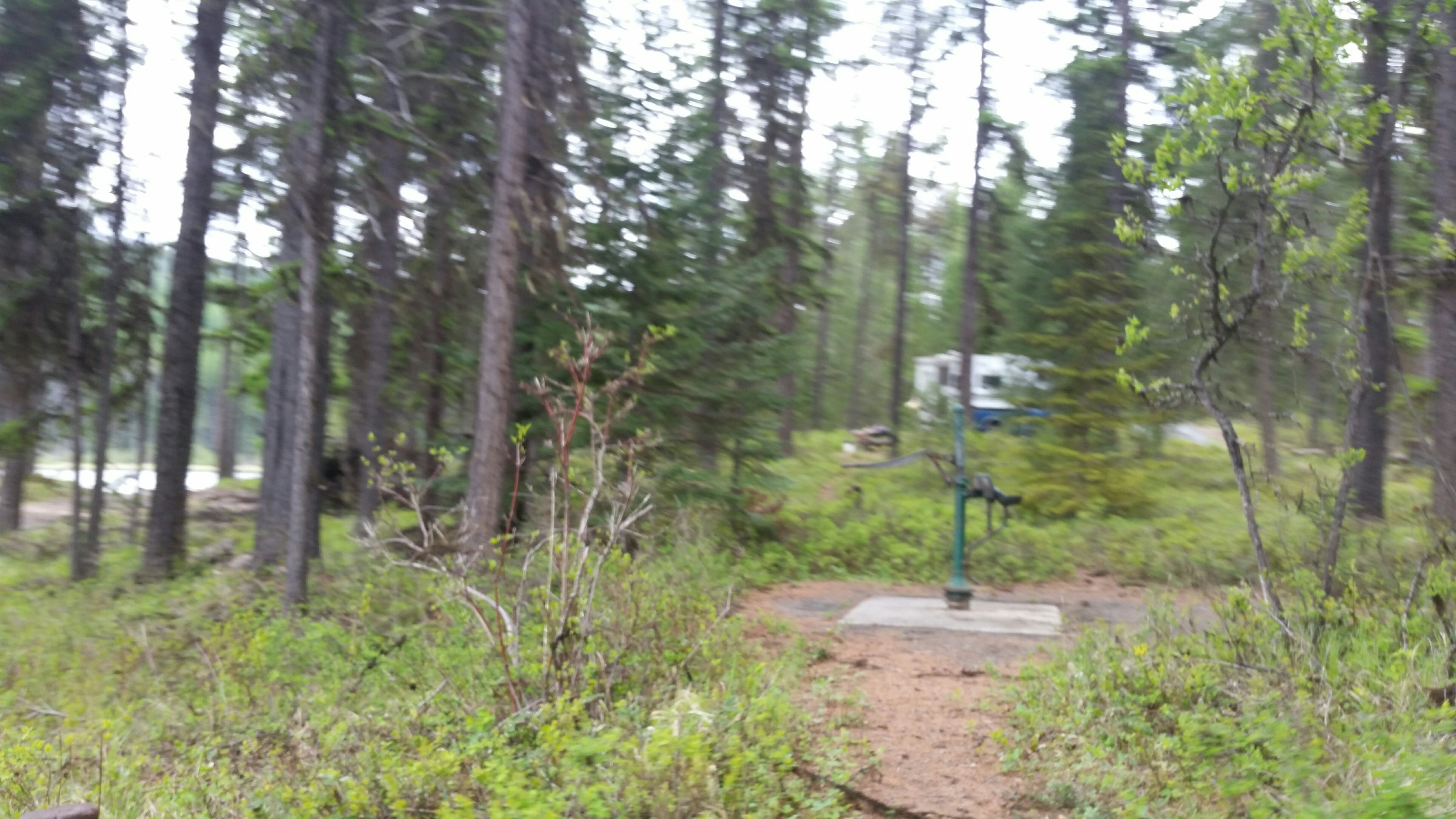 Camper submitted image from Lake Leo Campground - 5
