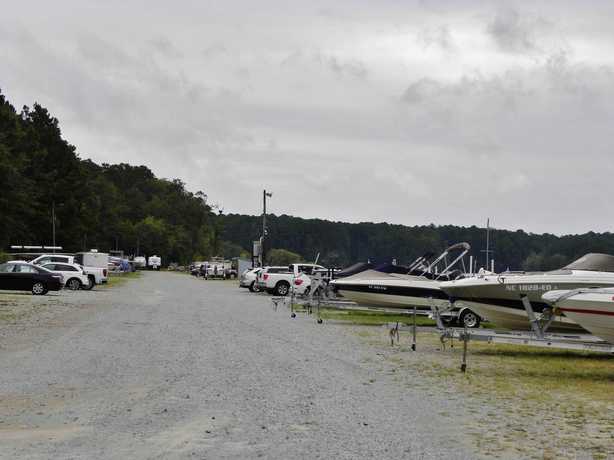 The marina was busy for not being on a busy weekend.