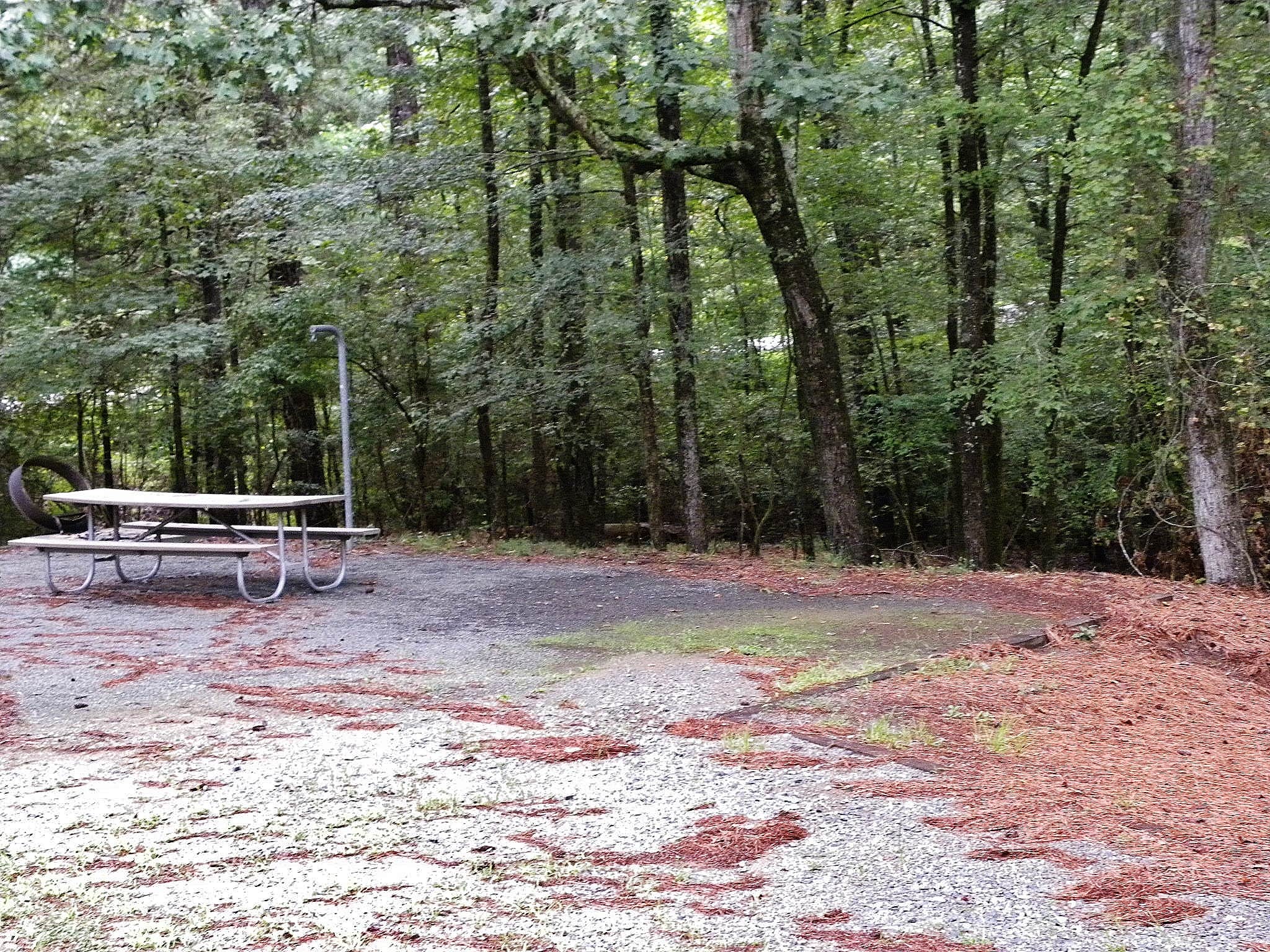 Here is yet another campsite that got flooded.  Raised tent pads would have helped.