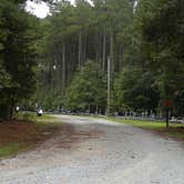 Review photo of Rolling View — Falls Lake State Recreation Area by Myron C., September 1, 2019