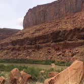 Review photo of Big Bend Group Sites by Madison G., June 21, 2017