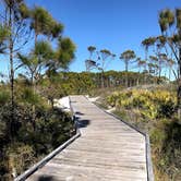 Review photo of T.H. Stone Memorial St. Joseph Peninsula State Park Campground by Tony C., September 1, 2019