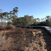 Review photo of T.H. Stone Memorial St. Joseph Peninsula State Park Campground by Tony C., September 1, 2019