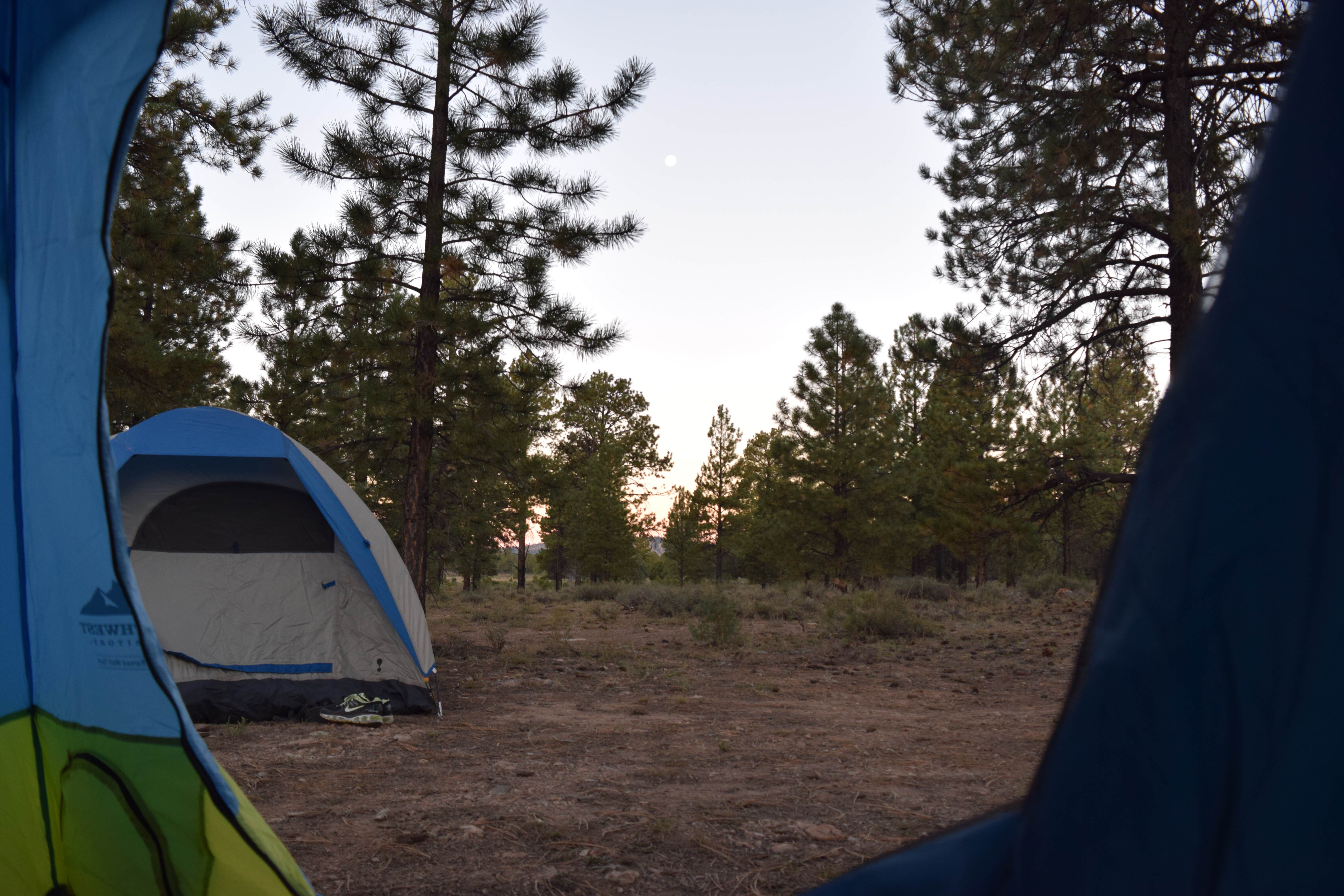 Madison G.'s photo at Watchman Campground — Zion National Park near Springdale, UT