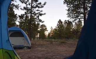 Madison G.'s photo at Watchman Campground — Zion National Park near Springdale, UT