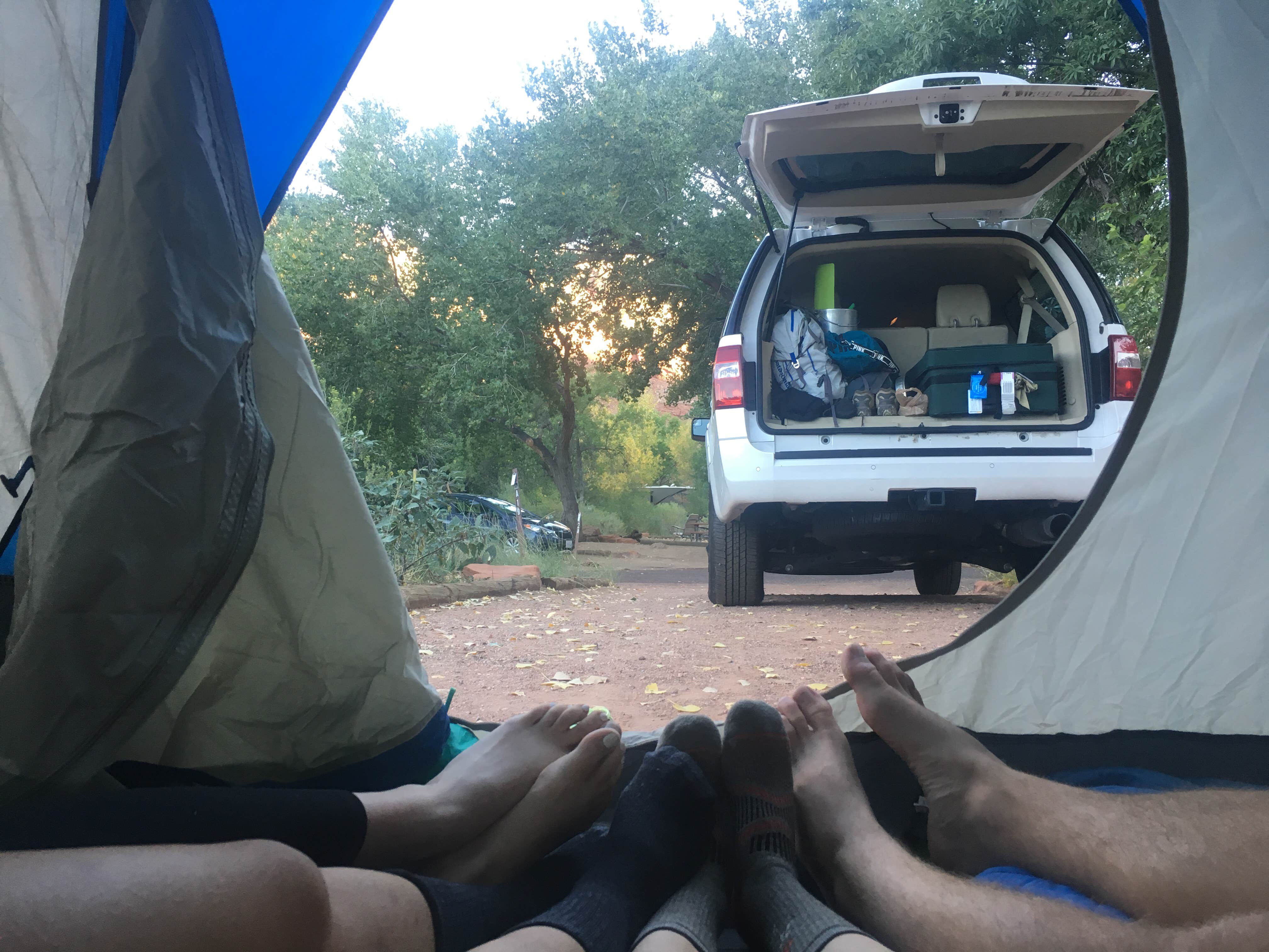 Madison G.'s photo at Watchman Campground — Zion National Park near Zion National Park