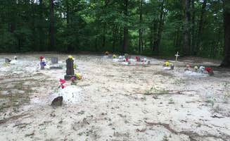 Tony C.'s photo at Corinth Recreation Area near Mount Hope, AL