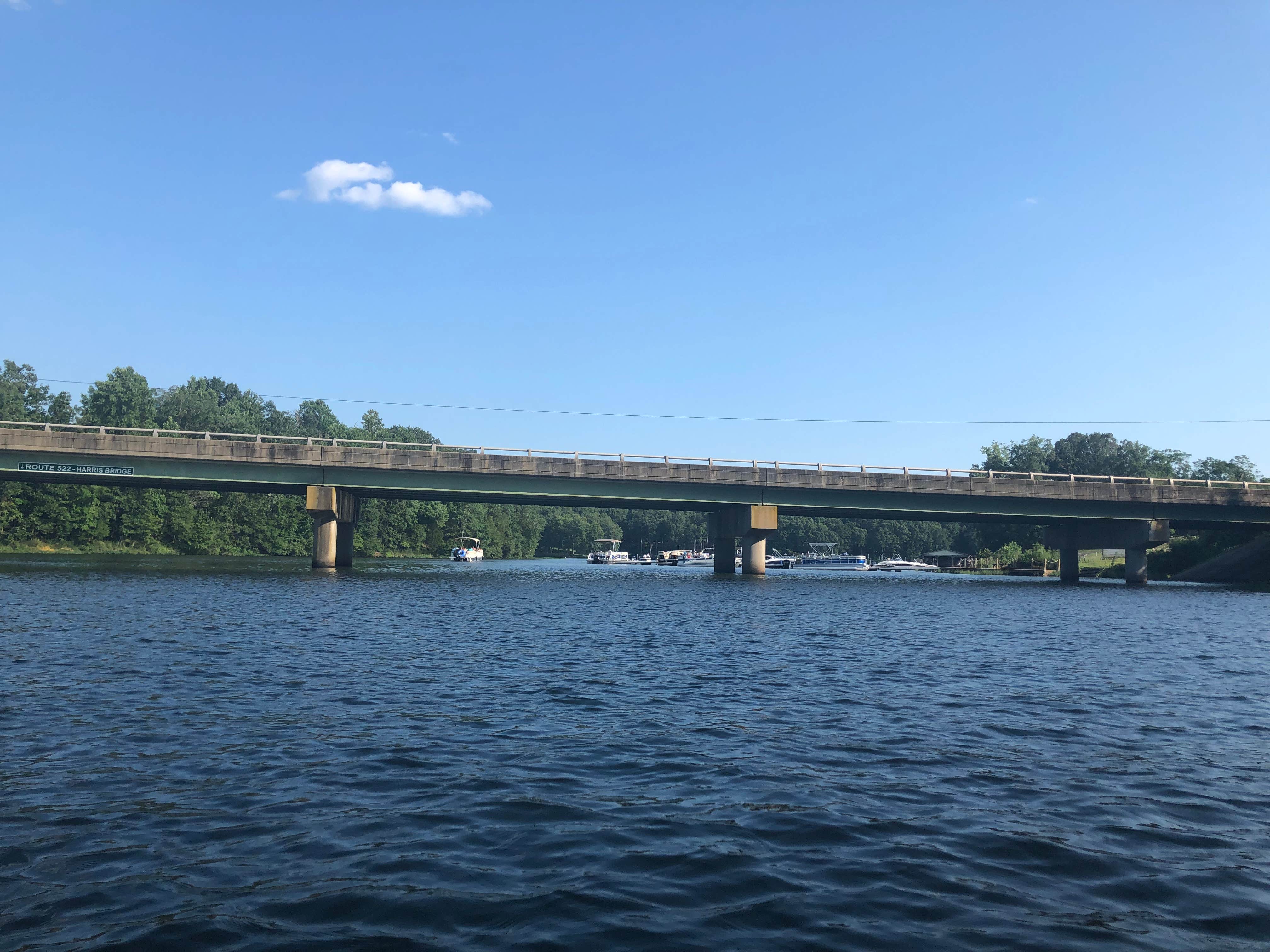 Camper submitted image from Lake Anna State Park Campground - 2