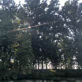 Review photo of Lake Anna State Park Campground by RL , August 25, 2019