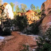 Review photo of Providence Canyon State Park Campground by Tony C., September 1, 2019