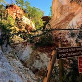 Review photo of Providence Canyon State Park Campground by Tony C., September 1, 2019