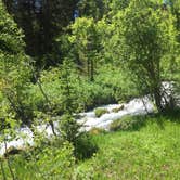 Review photo of Cloverleaf Campground by Carrie C., June 22, 2017