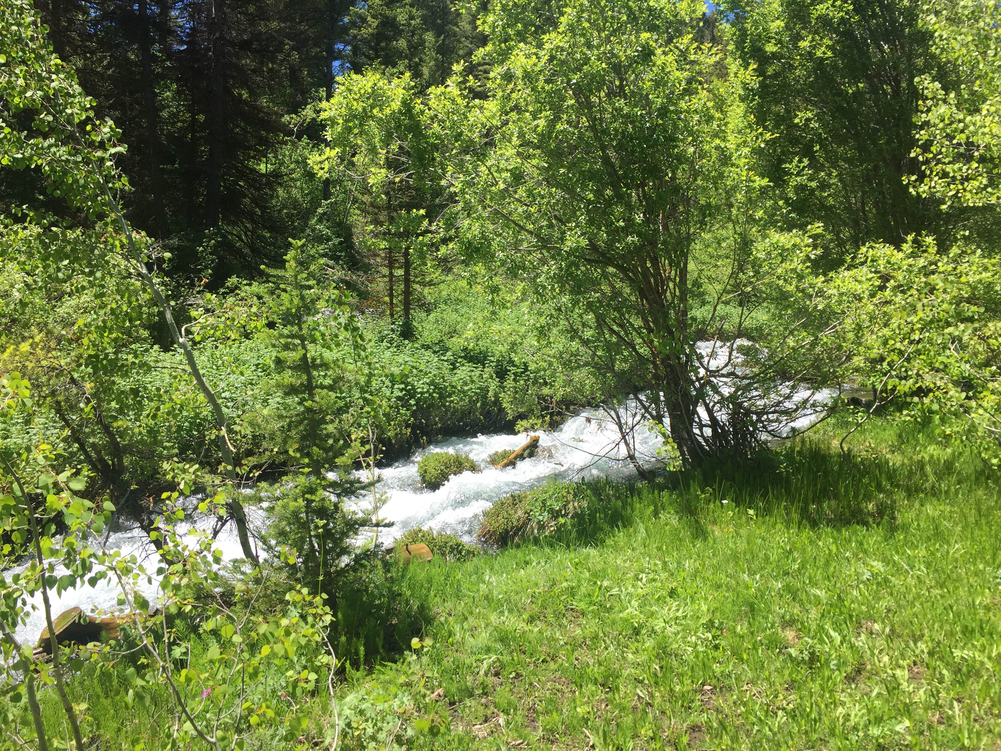 Camper submitted image from Cloverleaf Campground - 2