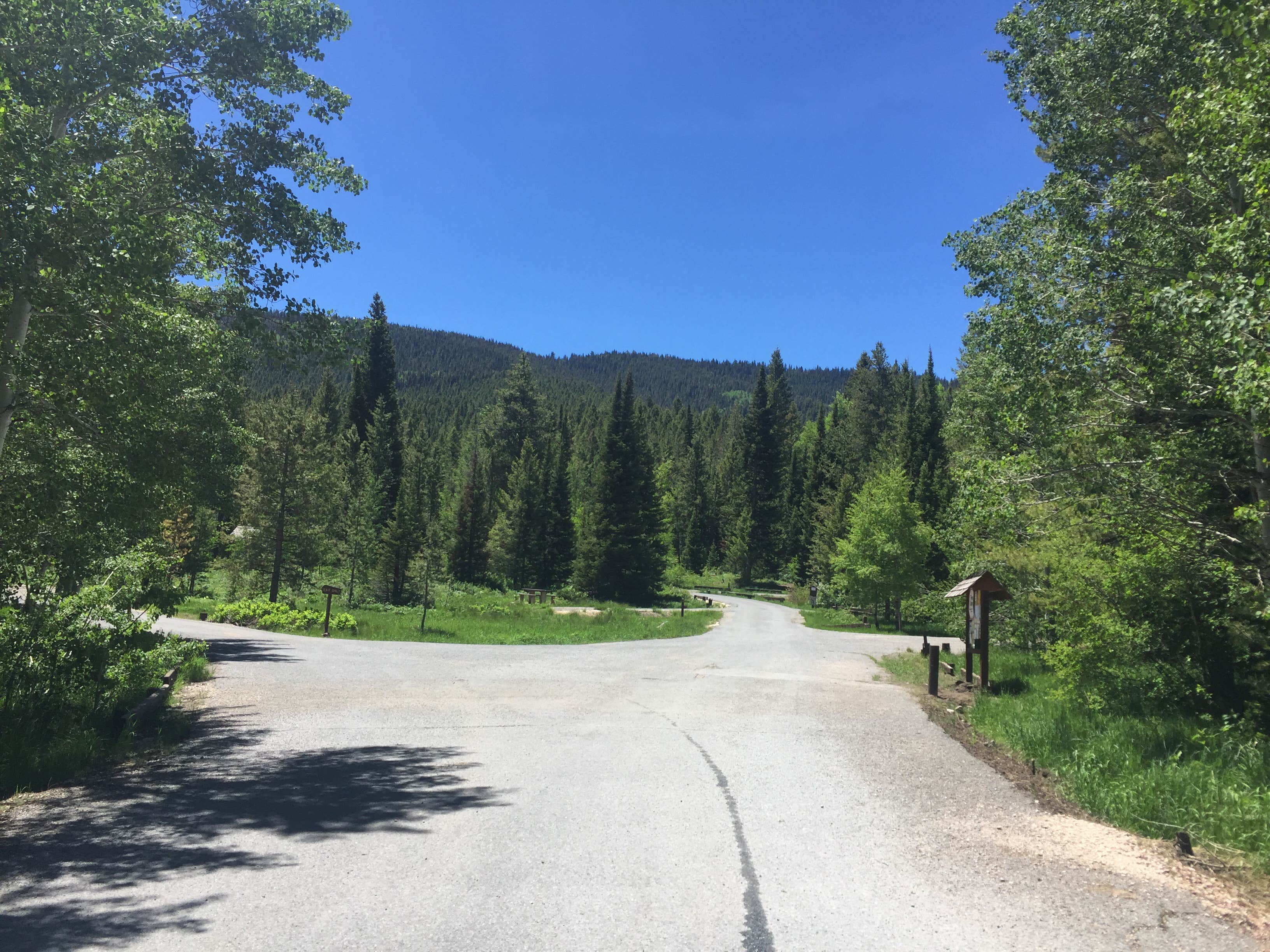 Camper submitted image from Cloverleaf Campground - 3