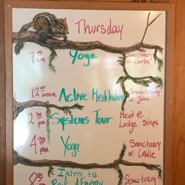The activity board for the day