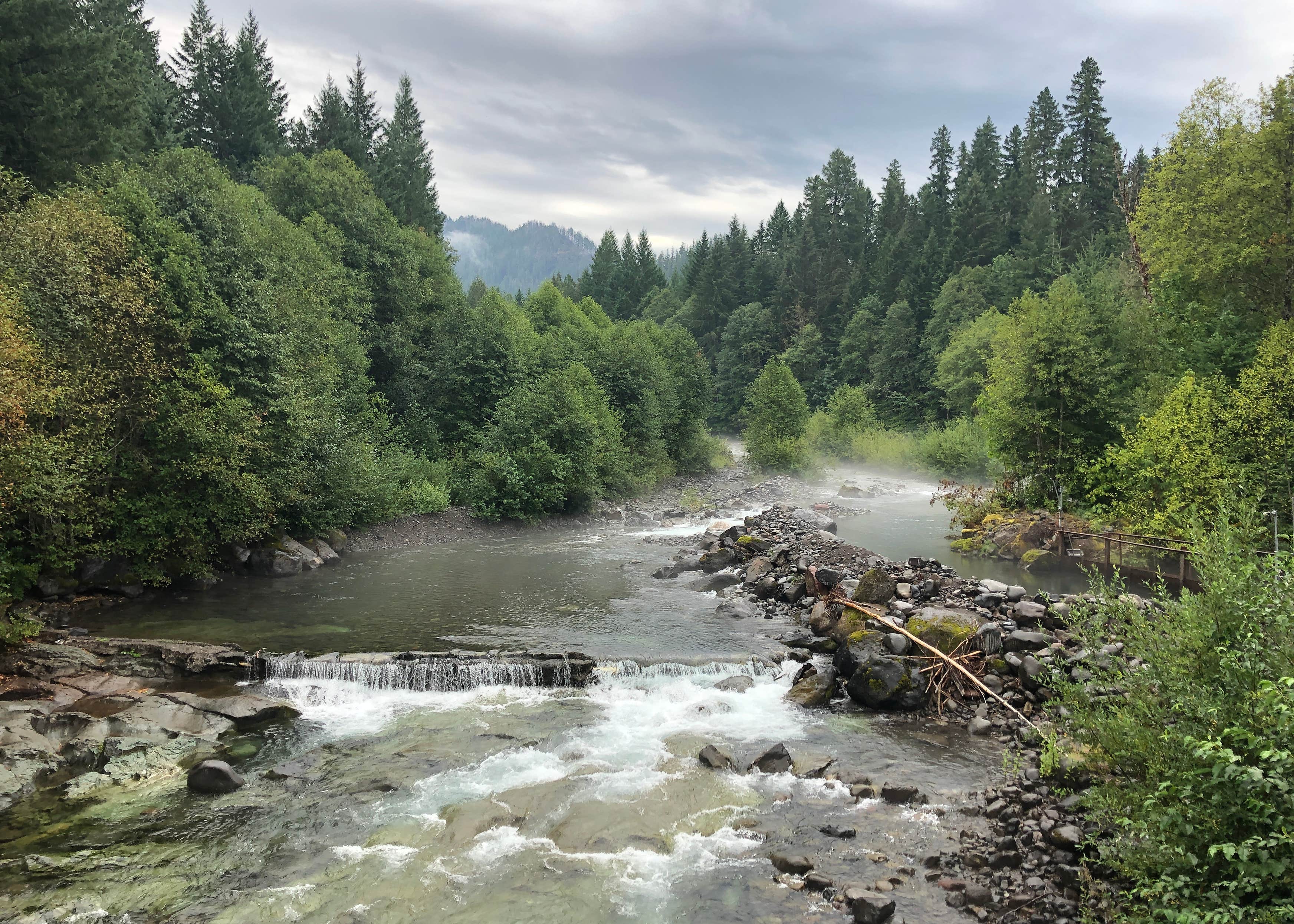 Breitenbush Hot Springs Resort Cabins Camping The Dyrt