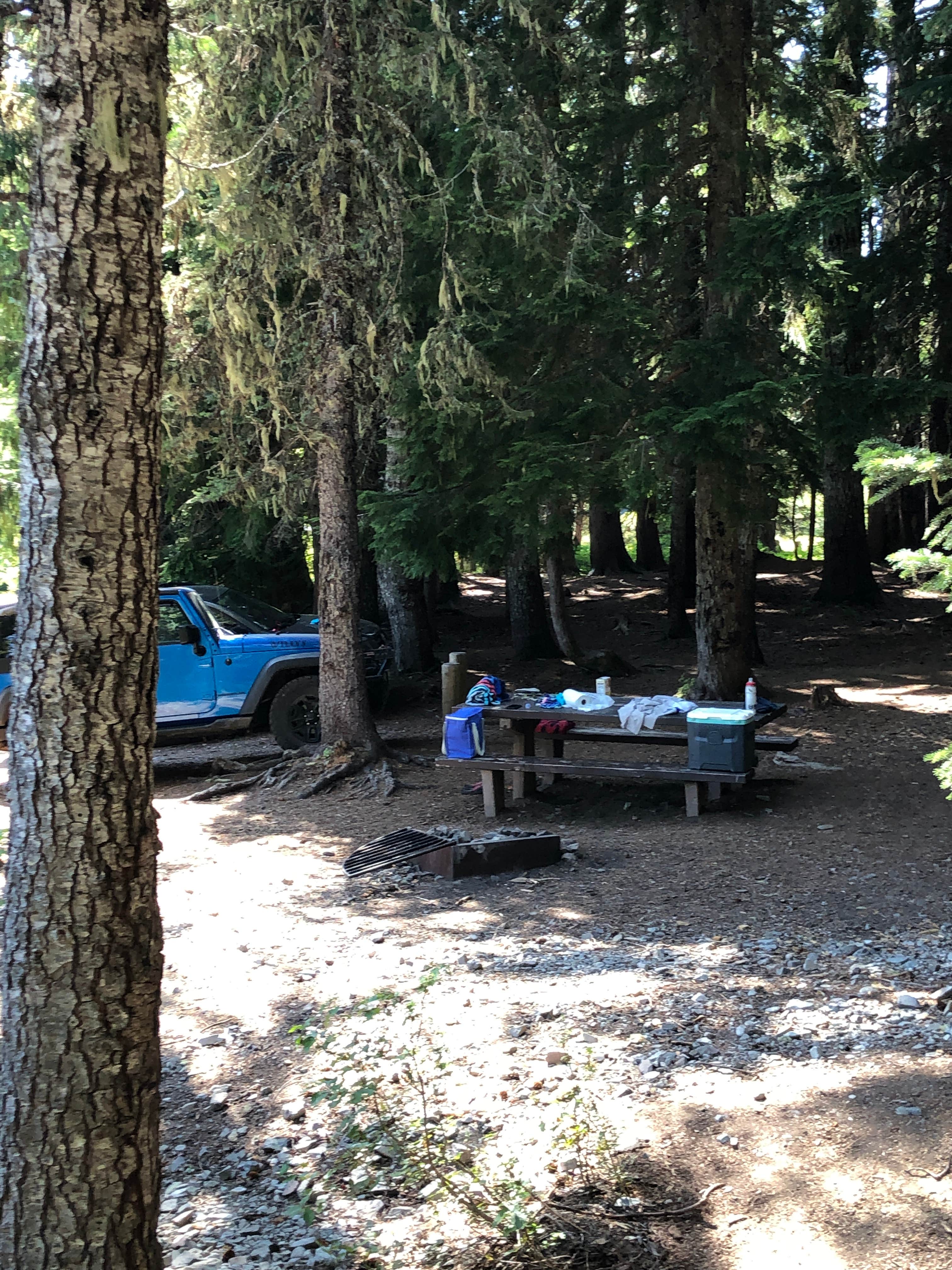 Camper submitted image from Elk Lake Campground - 2