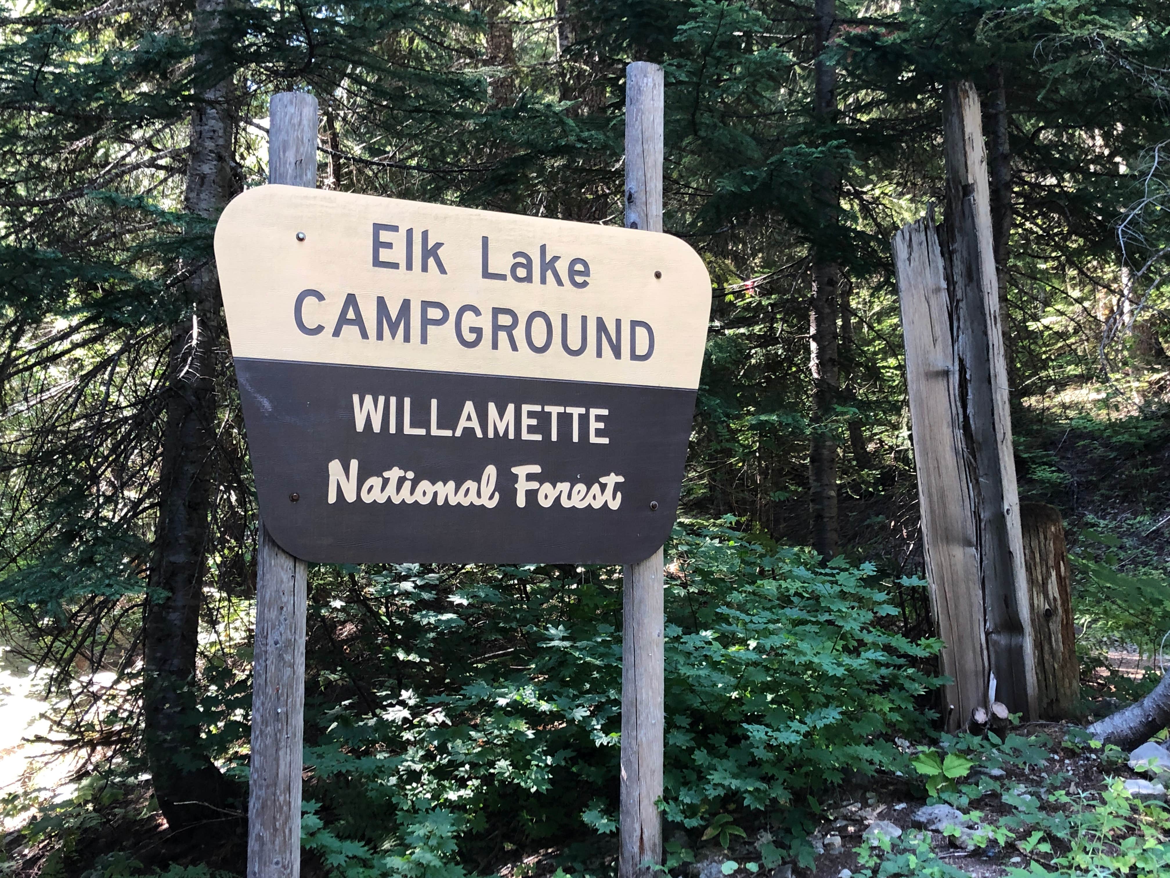 Camper submitted image from Elk Lake Campground - 4