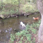 Review photo of Greenleaf State Park Campground by Dusty G., June 21, 2016