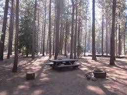 Camper submitted image from Jack Creek Campground - 2