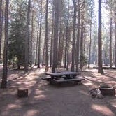 Review photo of Jack Creek Campground by Sam G., June 22, 2017
