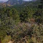 Review photo of Hualapai Mountain Park by Chris B., September 1, 2019