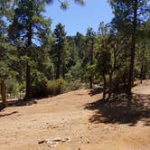 Review photo of Hualapai Mountain Park by Chris B., September 1, 2019